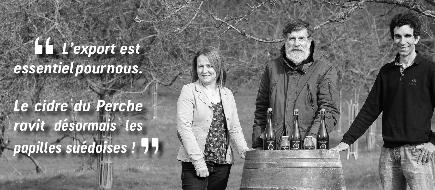 export domaine du tertre
