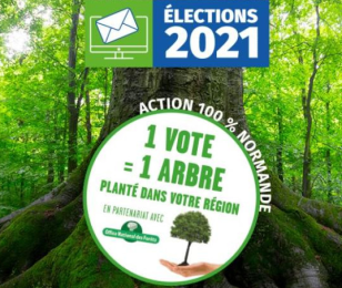 elections CCI