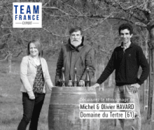 Team France Export, une solution à l'export